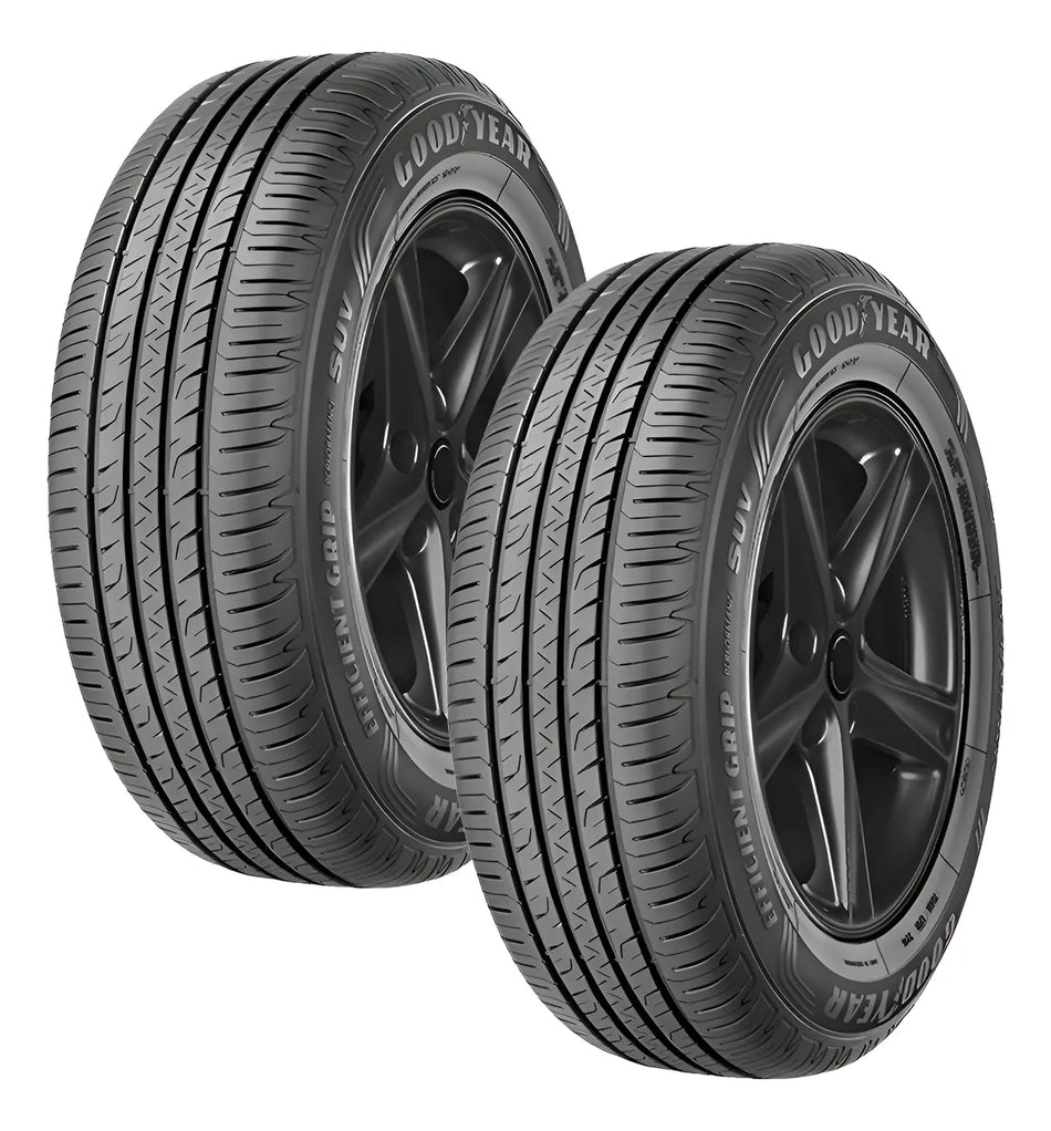 Kit 2 llantas 245/55R19 103V GOODYEAR EFFICIENTGRIP PERFORM SUV AUTO